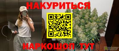 соль ск Будённовск