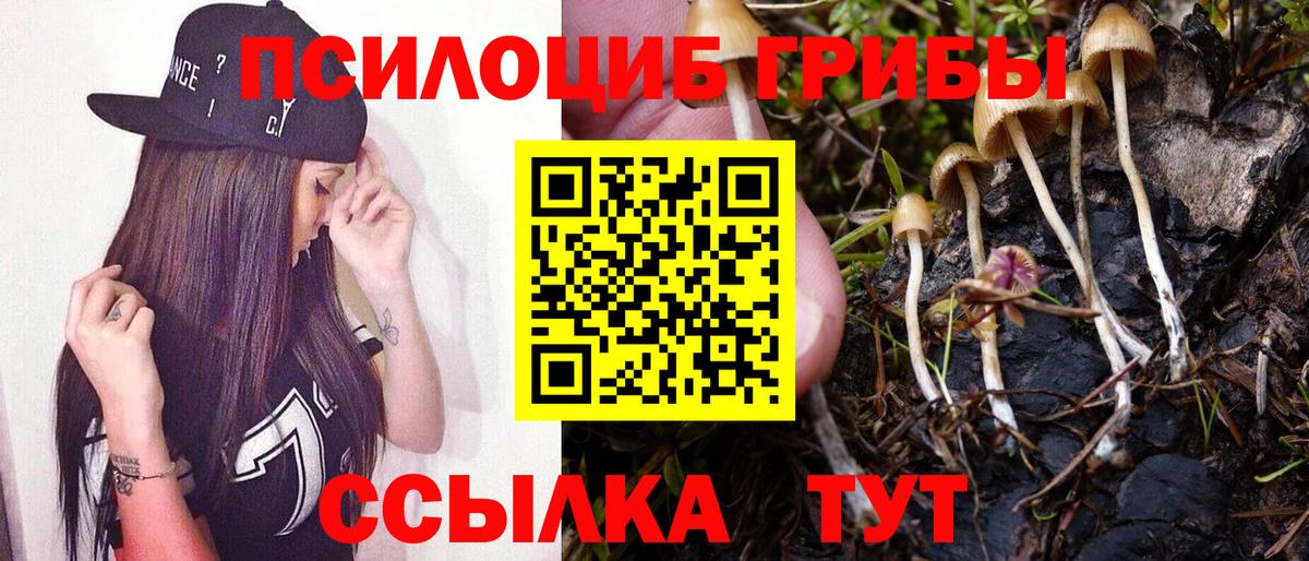 Псилоцибиновые грибы Psilocybe  Вход с VPN  Мелеуз 